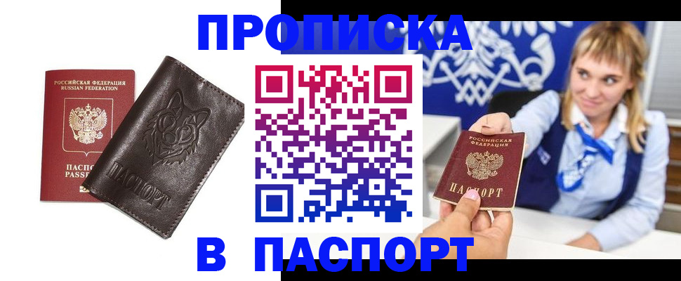 где прописаться в Михайловке